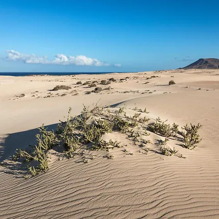 Home2book Casa Kiky - Cosy With Jacuzzi Appartement *