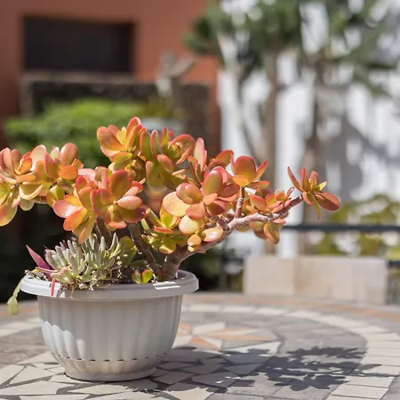 Home2book Casa Kiky - Cosy With Jacuzzi Apartamento